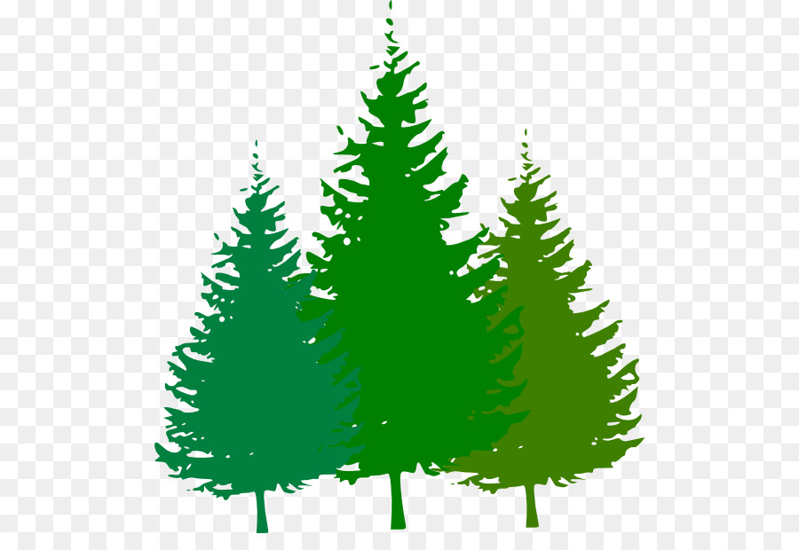 Pine Tree Silhouette png download - 552*601 - Free Transparent Pine png  Download. - CleanPNG / KissPNG