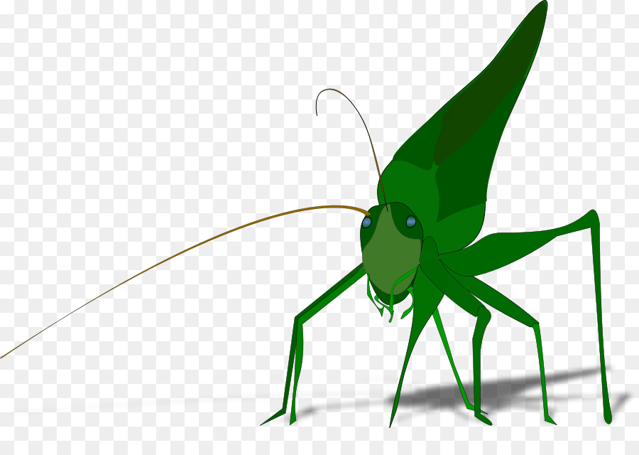 Die Ameise und die Heuschrecke Clip-art - Grasshopper Cartoon Bilder