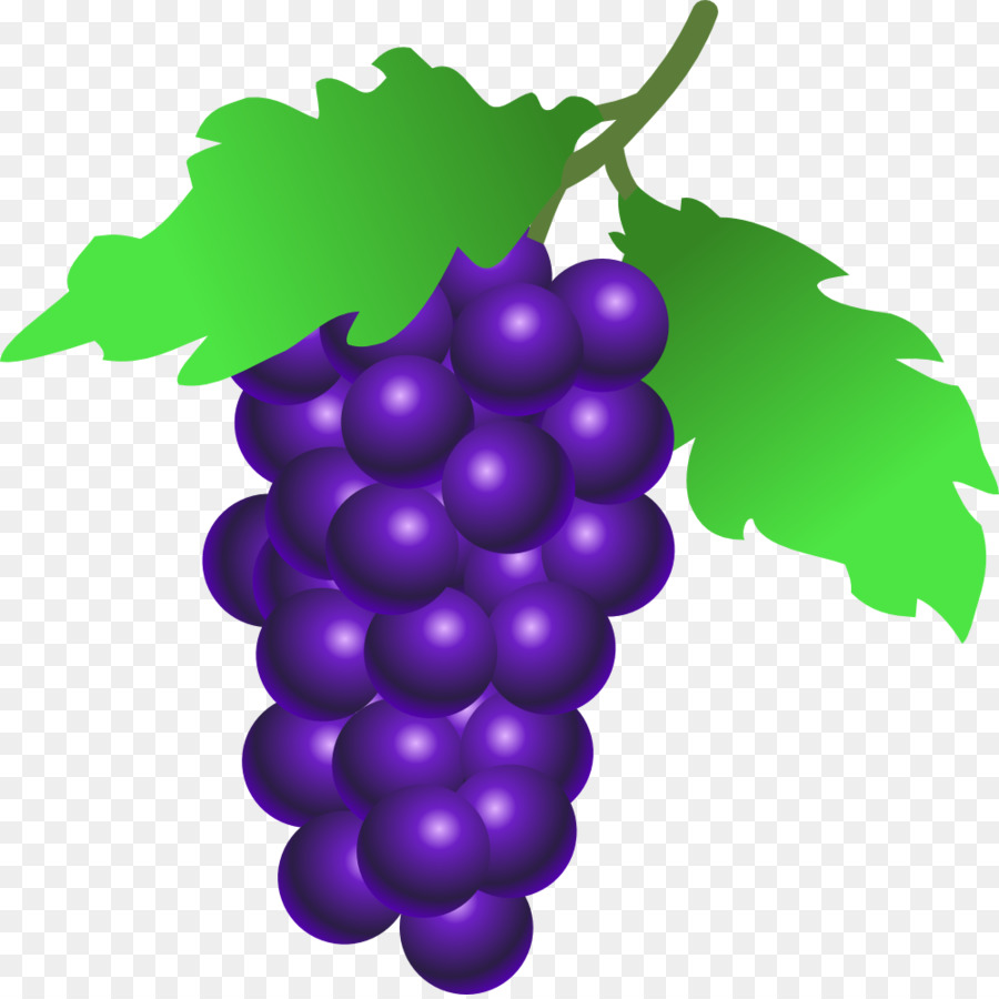 Comune Di Uva, Vite Da Vino, La Grappa Di Berry - viola uva clipart