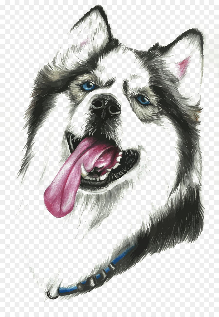 Siberian Husky, Alaskan Malamute, Sakhalin Husky, Alaskan Klee Kai Canadian Eskimo Dog - Vettore stupido cane Alaskan