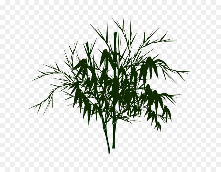 Bambus-Aquarell - Bambus