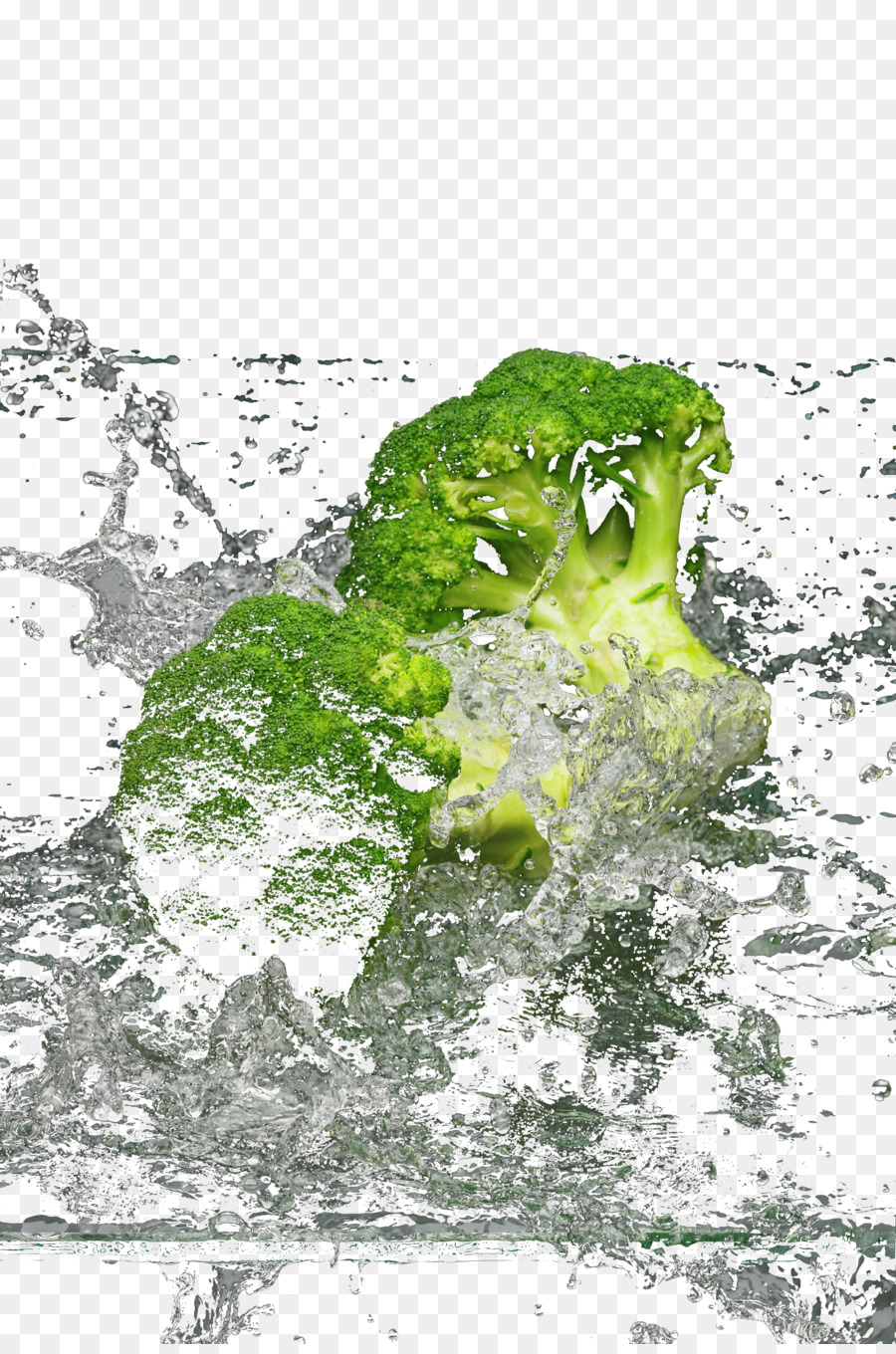 Wasser-Grafik-design-Brokkoli-Illustration - Wasser, Brokkoli