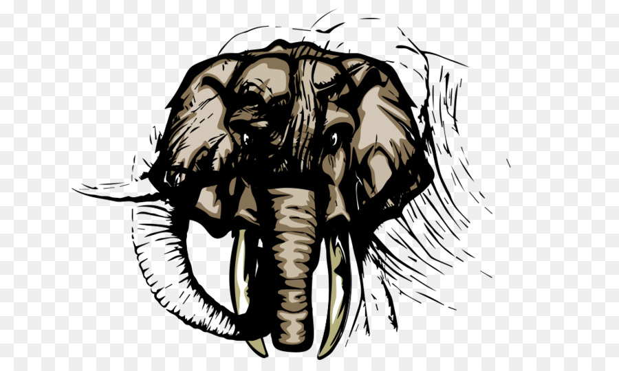 Elfenbein Poster Elephant Werbung - Elefant