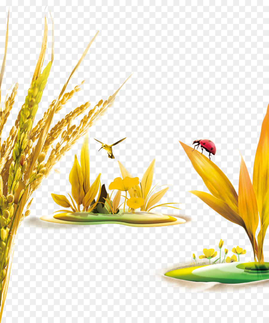Reis Werbung - Hafer Weizen Weizen Vögel Marienkäfer