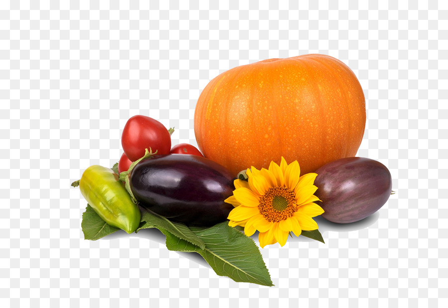 Cucurbita pepo Gemüse-Kürbis-Orange - Kürbis-Sonnenblumen-Aubergine Pfeffer