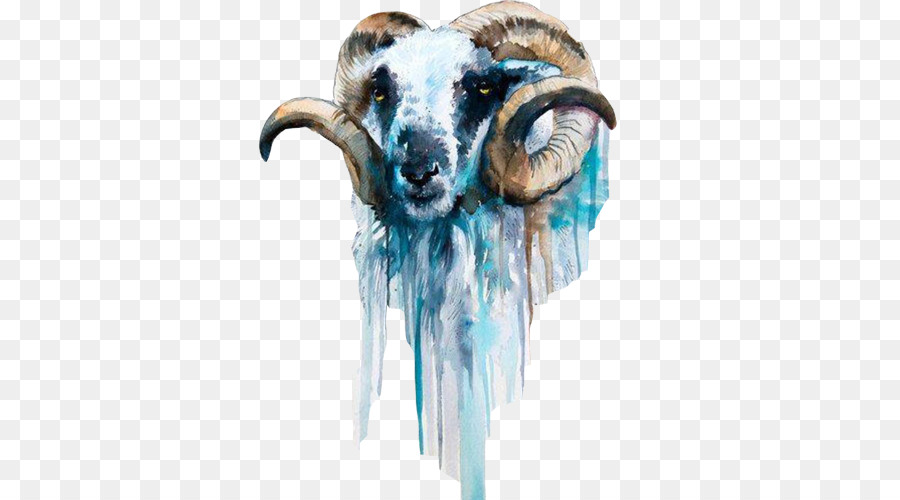 Cừu Dê Nghệ thuật sơn Màu nước - Dê già nước tài liệu hình ảnh