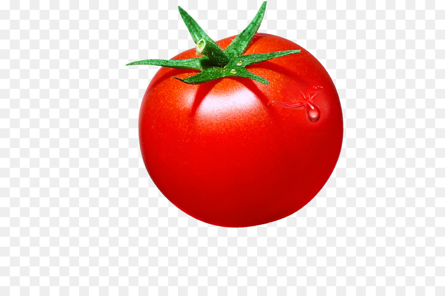Cà chua Đỏ Clip nghệ thuật - Cà chua mẫu