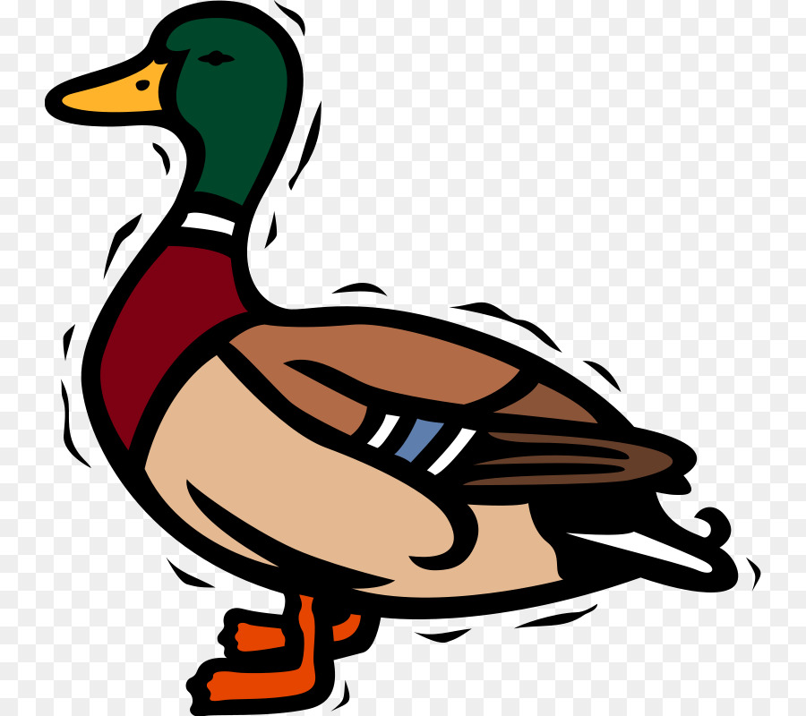 Mallard Duck Clip art - Freie-Vogel-Vektor