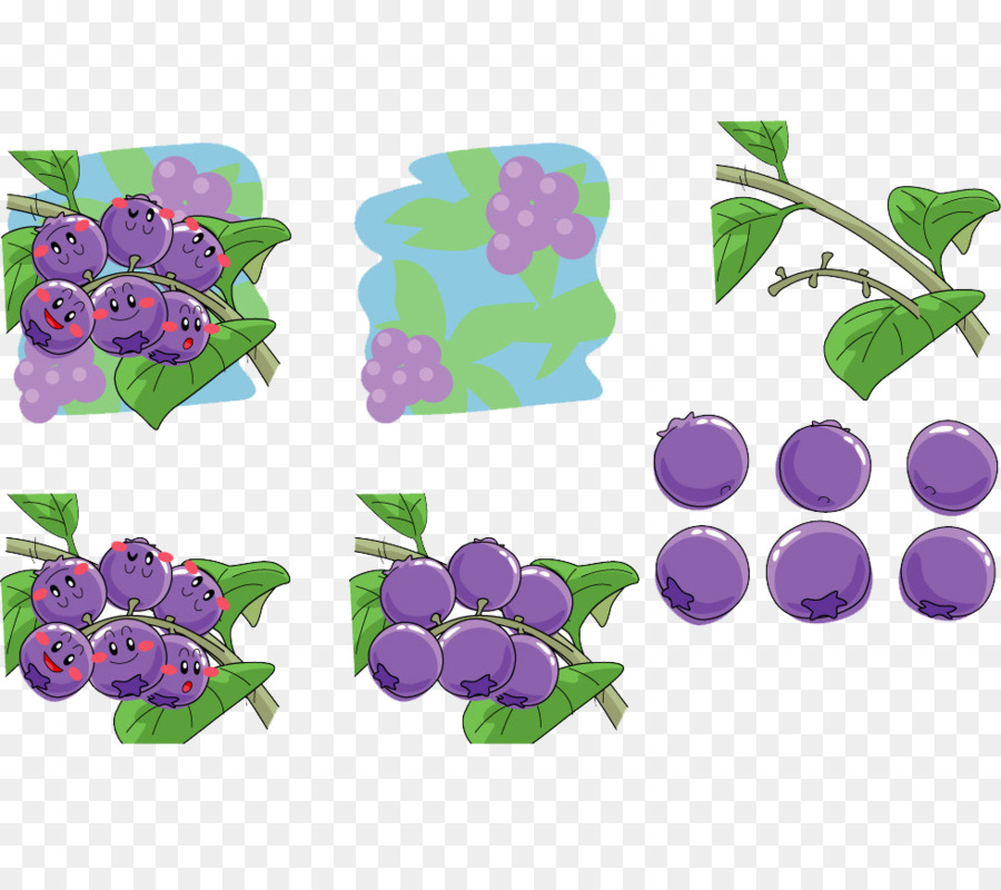 Grape Cartoon-Heidelbeer-Illustration - Cartoon-Klasse von arbutin blueberry material
