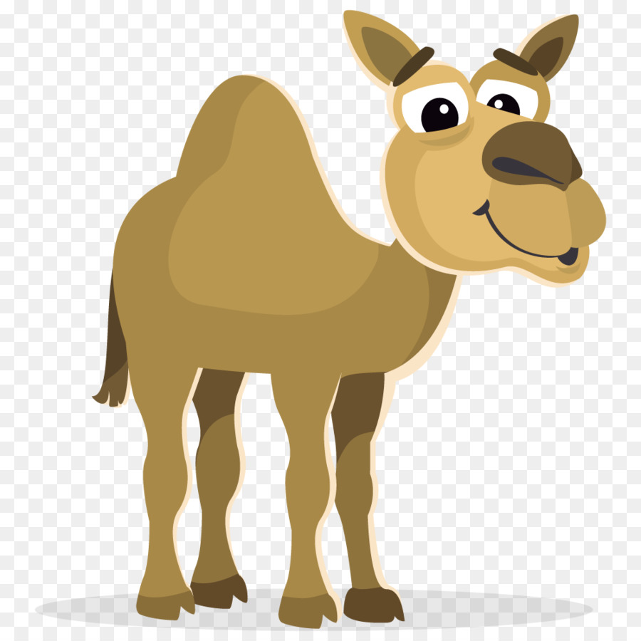 Camel Clip-art - Marokkanische Kamel Cliparts