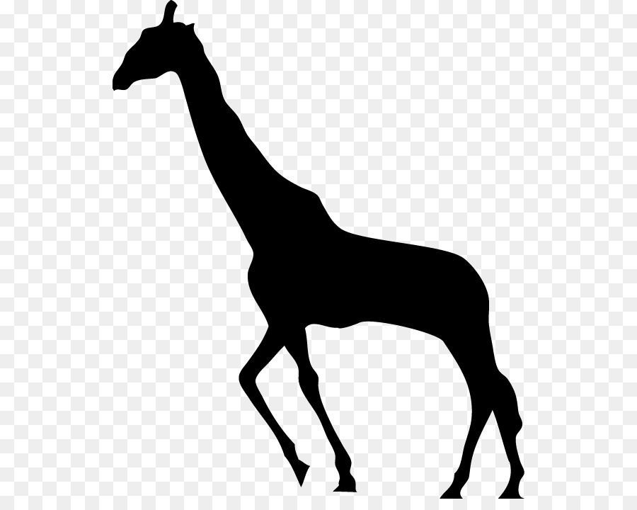 Giraffa Silhouette - giraffa