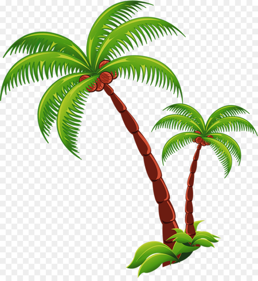 Coconut Tree Cartoon png download - 1218*1316 - Free Transparent Coconut  png Download. - CleanPNG / KissPNG