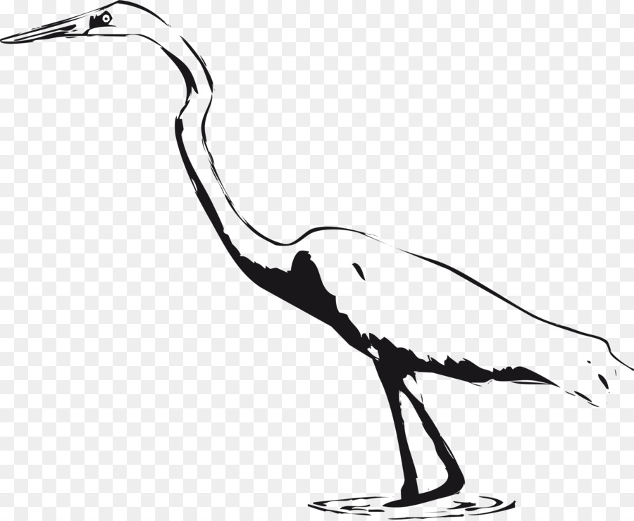 L'airone bianco Uccello Gru Clip art - black marsh clipart