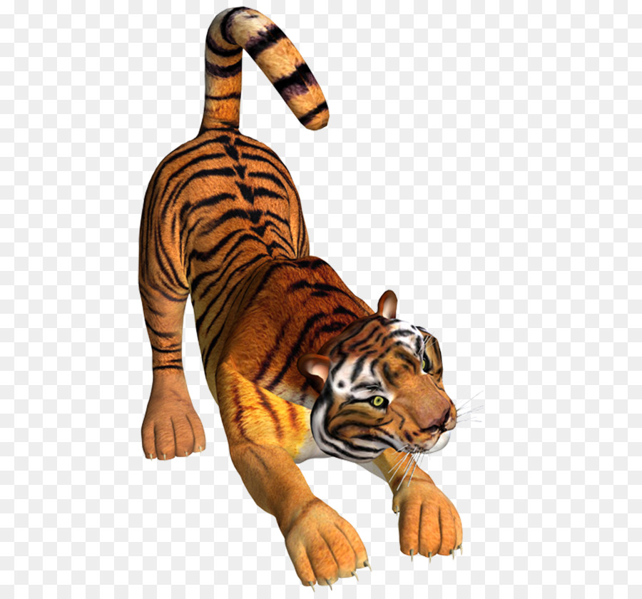 Tiger Zeichnung-Symbol - Tiger Tiger-Bild-material