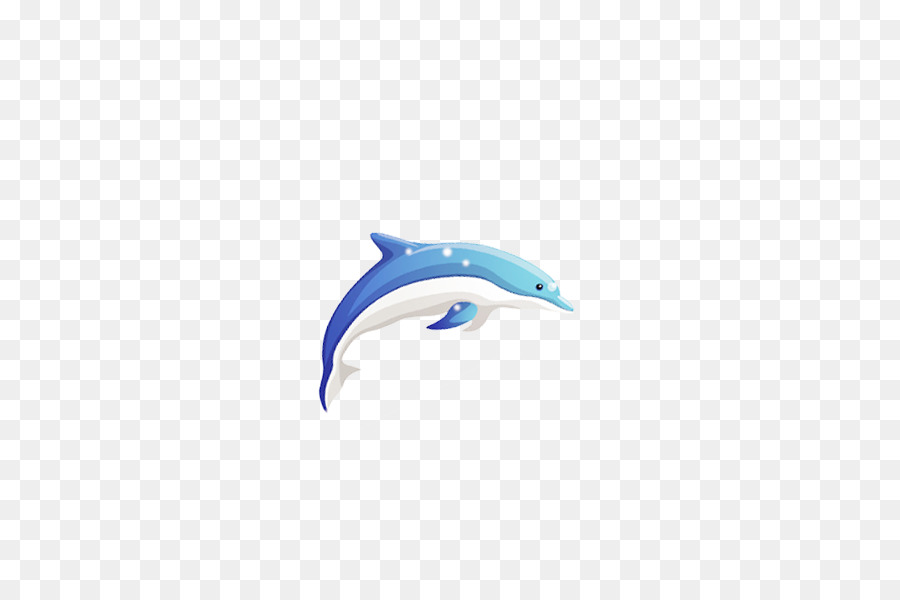 Dolphin Hoạt Hình - Cá heo