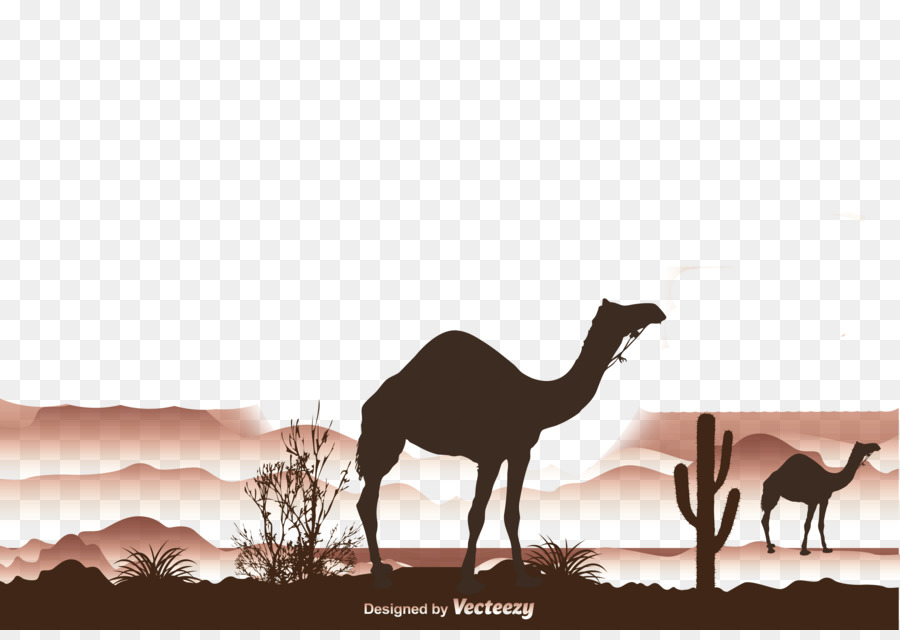 Il Deserto Dipinto Cammello Albero - I cammelli e gli alberi morti