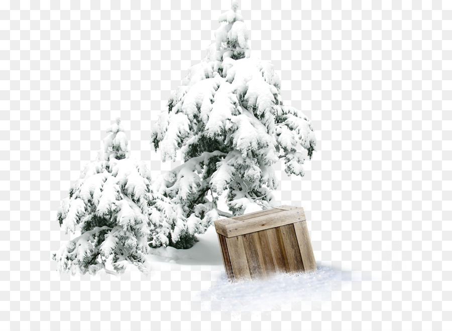 Winter Schnee Baum Wald - Winter pine-Holz-box