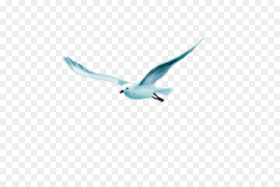 Vogel-Flug-clipart - Flying Bird