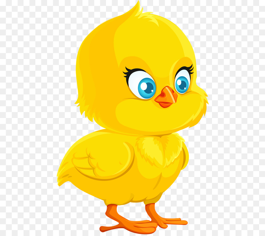 Duck Cartoon png download - 518*800 - Free Transparent Chicken png