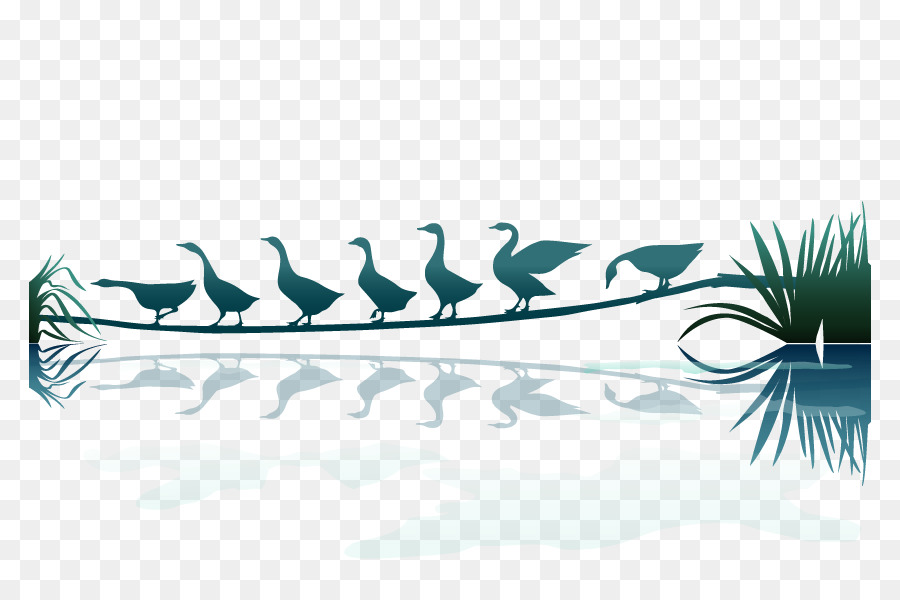 Cigno reale Natura paesaggio Naturale - Bella swan silhouette vector materiale