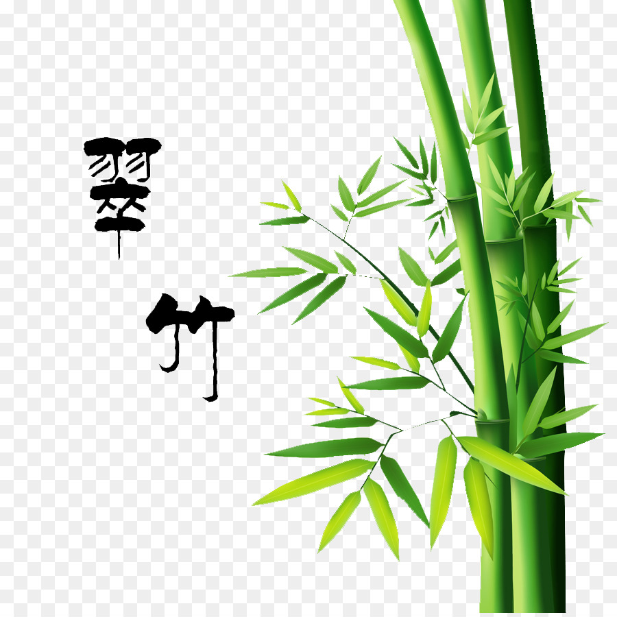 Bambus-Malerei-Zeichnung - Bambus