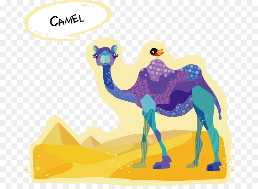 Dromedario cammello Battriano Disegno Cartone animato - Cammello cartoni animati