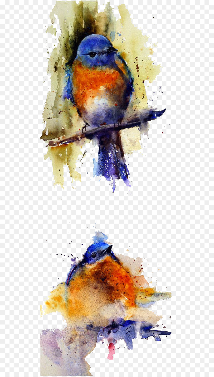 Acquerello: Animali pittura ad Acquerello dell'Artista pittura a Olio - Dipinti passero