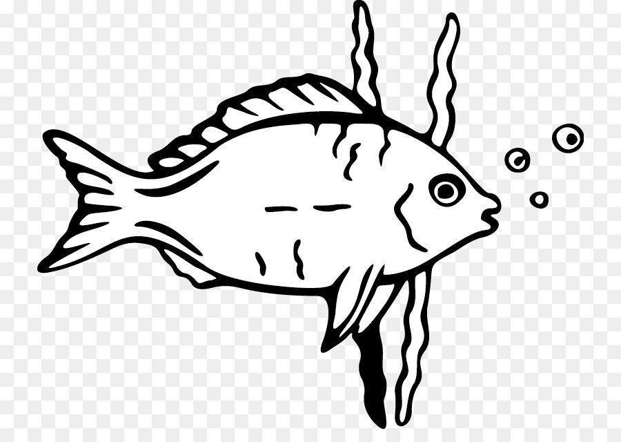 Cartoon-Zeichnung Fisch Clip art - Cartoon-Fisch