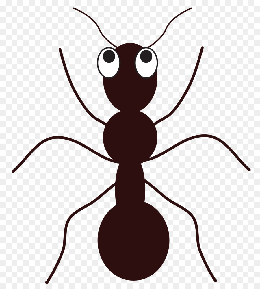 Ant Cartoon png download - 1860*2048 - Free Transparent Ant png Download. -  CleanPNG / KissPNG