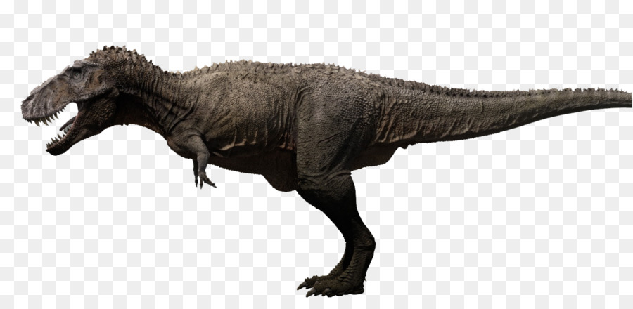 Tyrannosaurus Torvosaurus Carcharodontosaurus Fleisch-Essen Dinosaurier Suchomimus - Dinosaurier