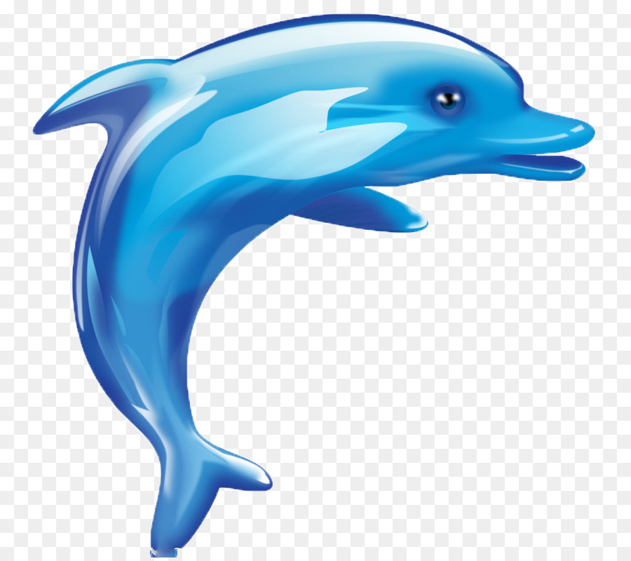 Whale Cartoon png download - 834*800 - Free Transparent Dolphin png  Download. - CleanPNG / KissPNG