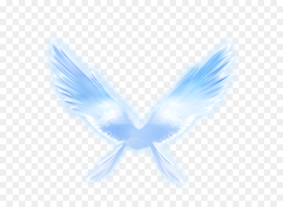 Flügel - Angel Wings