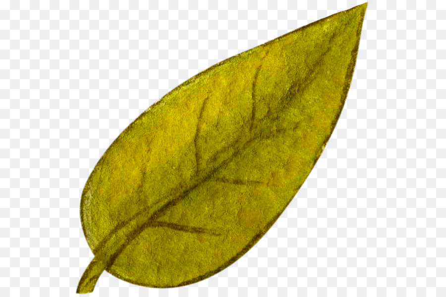 Foglia Creativo ad Acquerello, pittura ad Acquerello Carta - Acquerello foglie di autunno