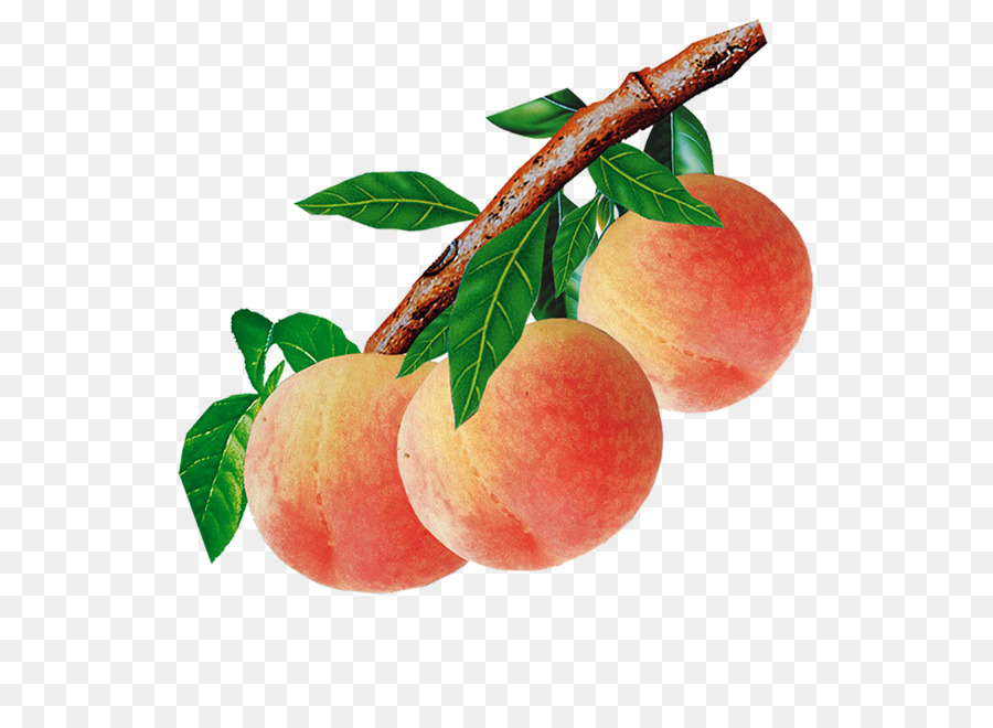 Pfirsich Essen Auglis - peach