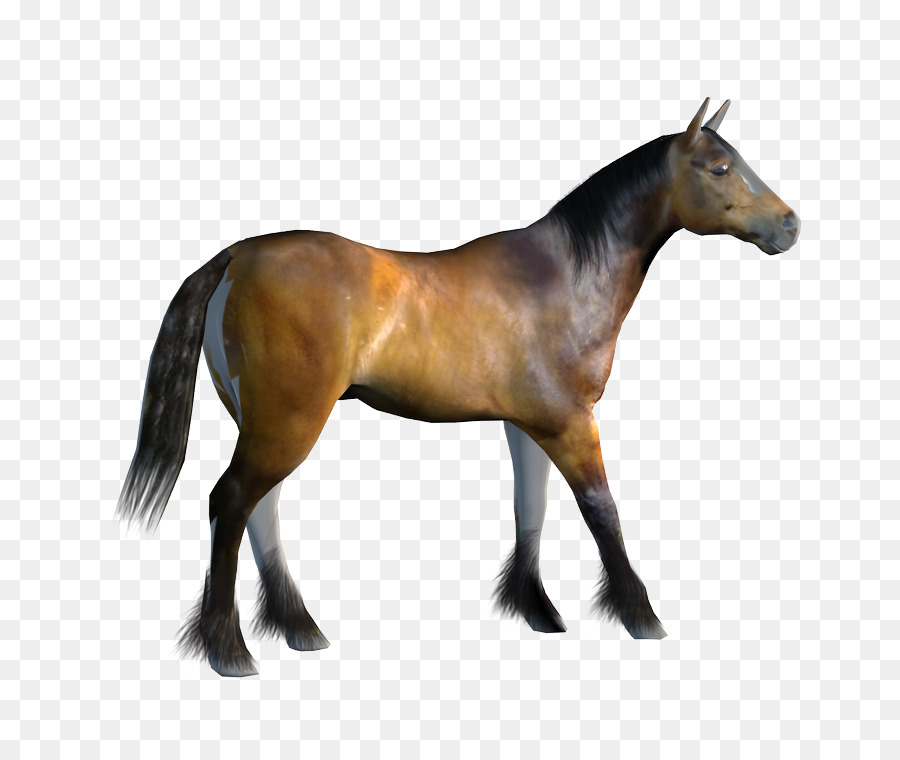 Mustang Pony Animazione Clip art - immagini animate cavalli