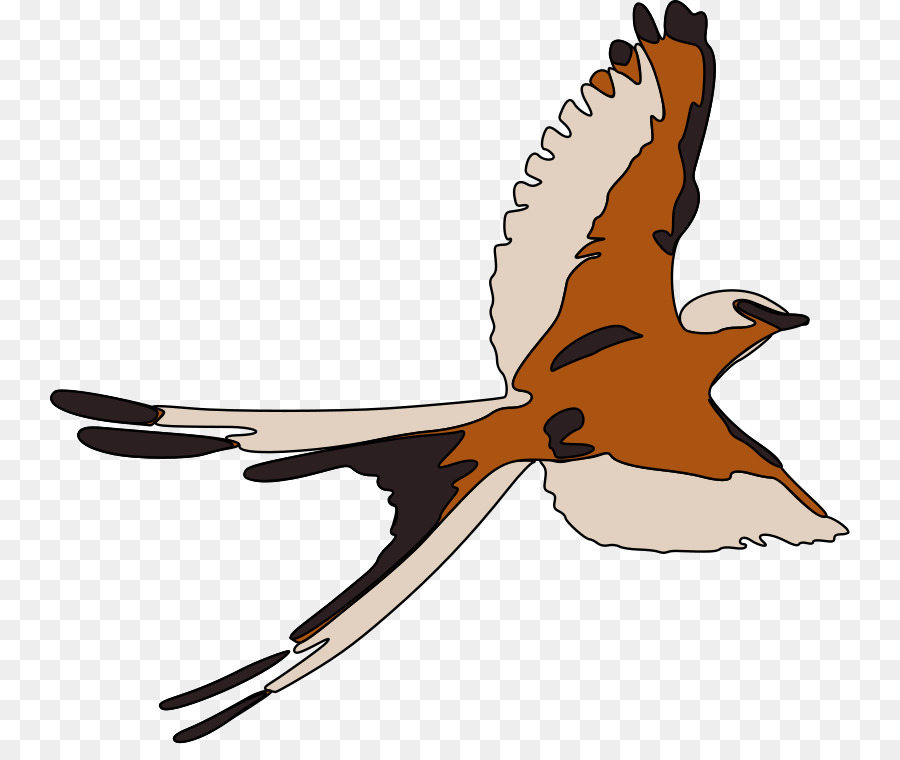 A volo d'uccello Uccello di volo di Rondine Clip art - luisa clipart