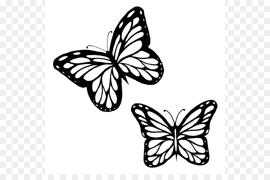 Butterfly Black And White Png Download 600 581 Free Transparent Butterfly Png Download Cleanpng Kisspng
