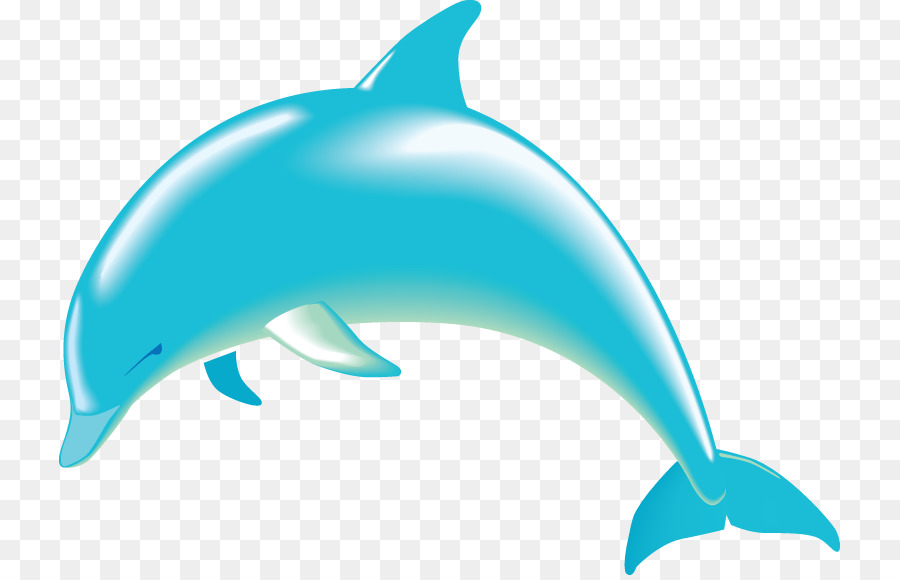 Dolphin Cartoon png download - 781*575 - Free Transparent Dolphin png  Download. - CleanPNG / KissPNG