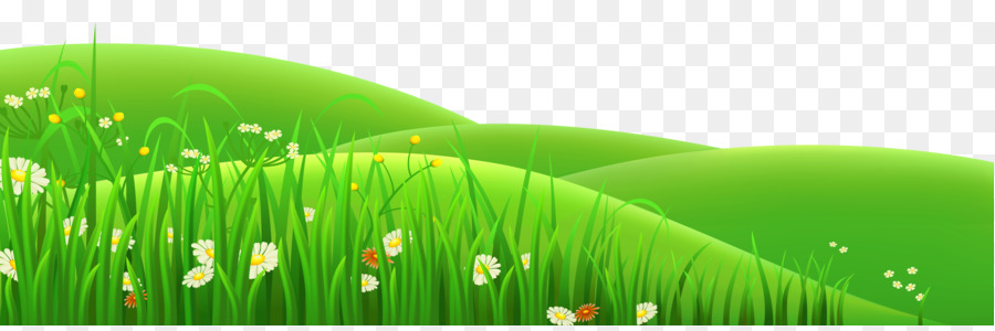 grassy field with flowers