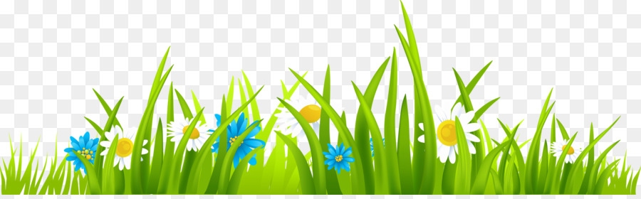 Green Grass Background png download - 3230*983 - Free Transparent Website  png Download. - CleanPNG / KissPNG