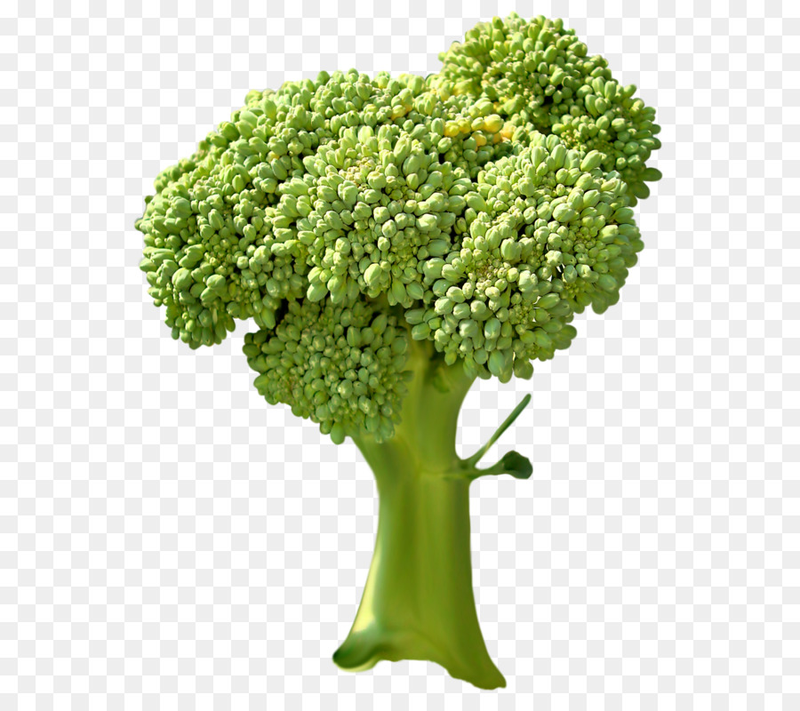 Broccoli Vegetale - Broccoli, verdure