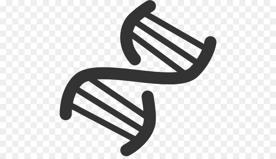 Double Helix png download - 512*512 - Free Transparent Dna png Download. -  CleanPNG / KissPNG
