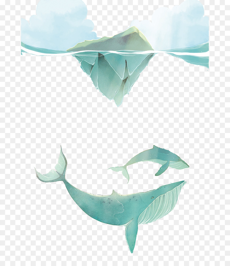 Shark Clip-art - Malte Eisberg shark
