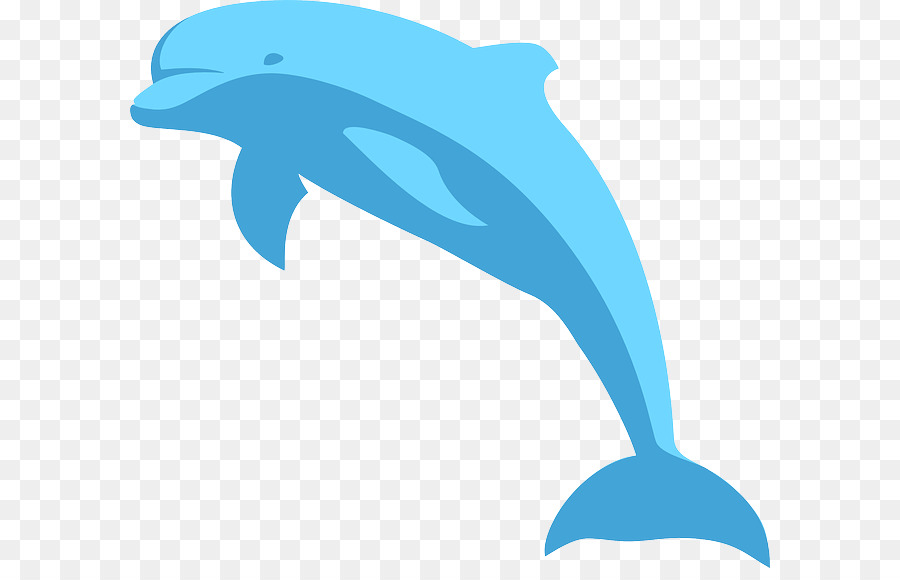 Spinner dolphin Clip-art - Urlaub Dolphin Cliparts