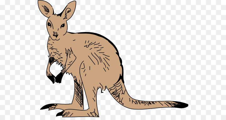 Kangaroo Free content-clipart - Kostenlose Clipart Tierwelt