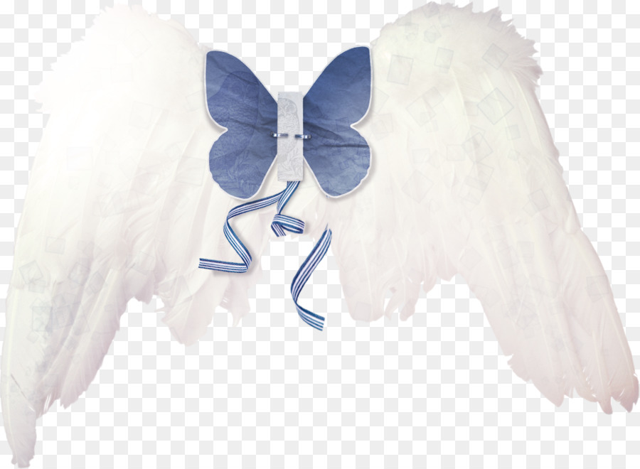 Angel Wing - Angel wings