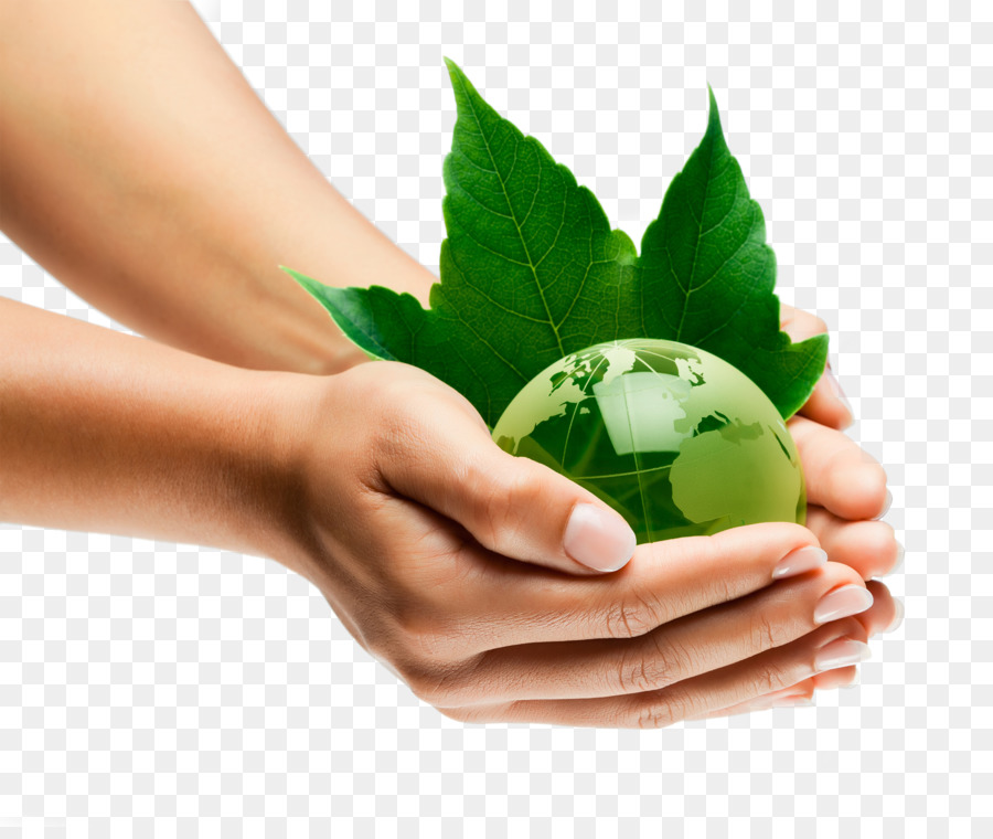 Bewirtschaftung der Natürlichen Umwelt, Nachhaltige Entwicklung, Nachhaltigkeit, Organisation - Halten grüne Erde
