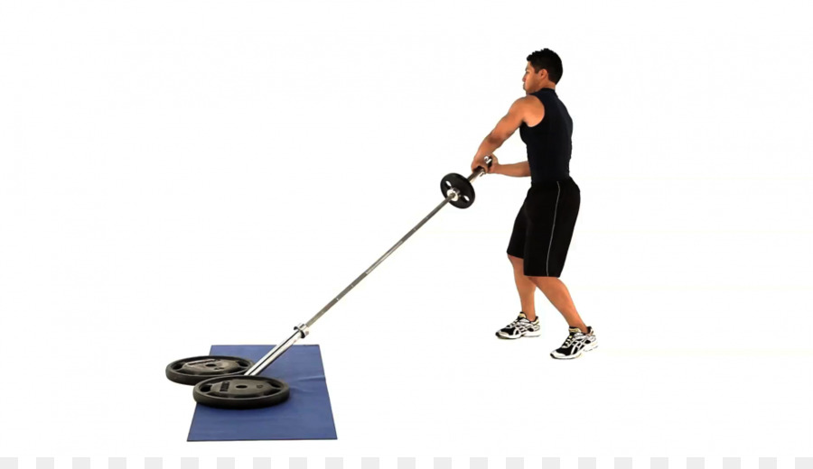 Bilanciere esercizio Addominale esercizio Fisico Core muscolo Retto dell'addome - bilanciere immagini