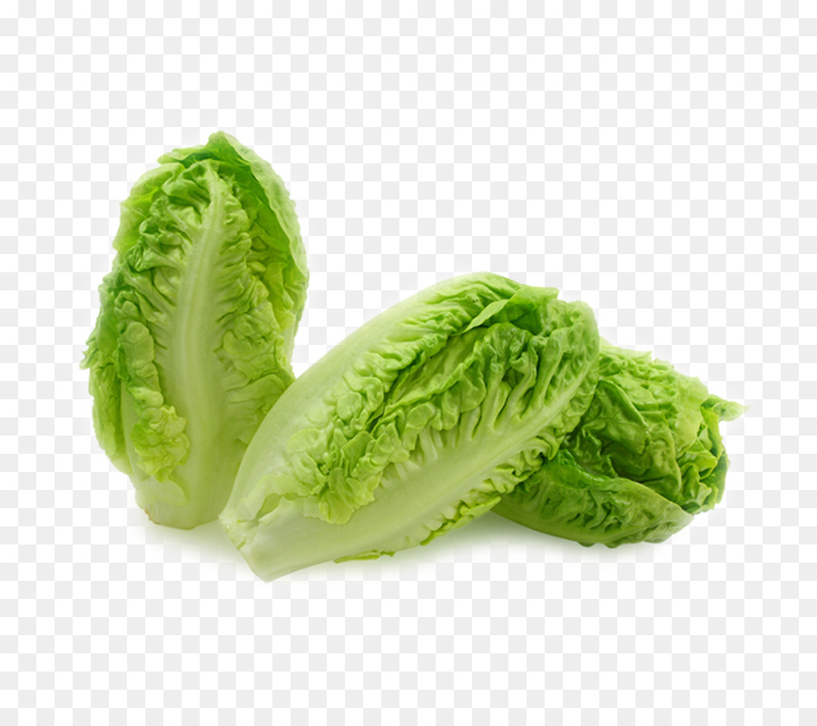 Kopfsalat Blatt-Salat Bio-Lebensmittel Eisbergsalat Römersalat - Gemüse,Chinakohl