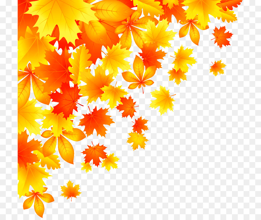 Foglia d'autunno colore Royalty-free - in autunno le foglie d'acero